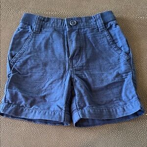 Tea Collection Blue Denim Shorts Casual Style